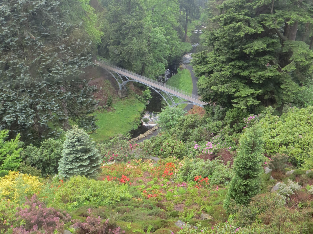 Cragside House and Gardens景点图片