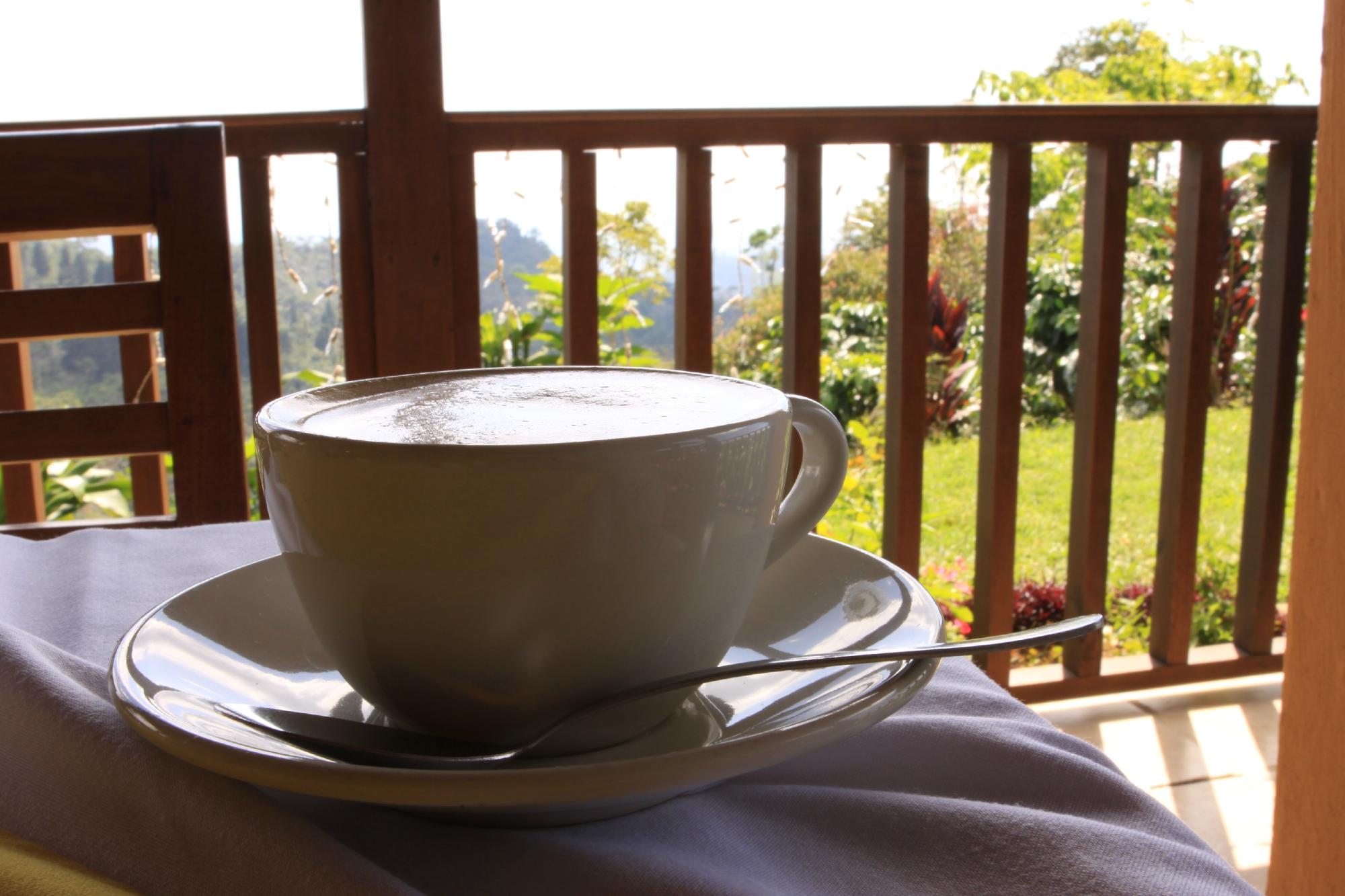 Finca Hamburgo Hotel Chiapas-餐饮