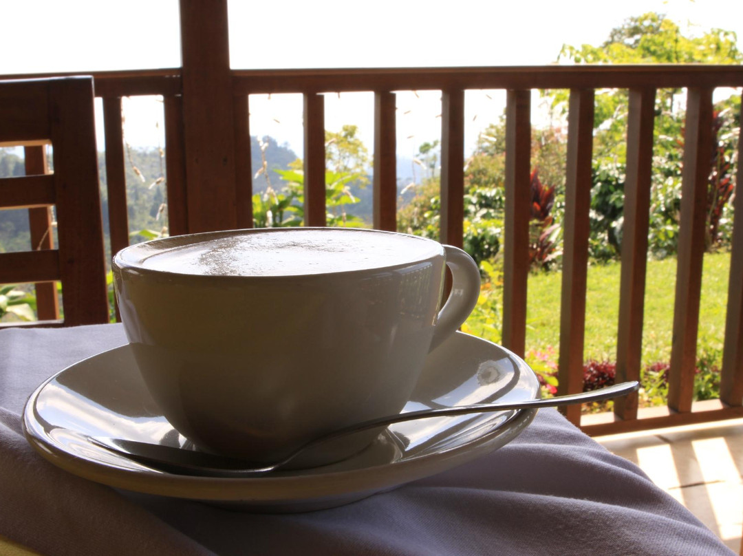 Finca Hamburgo Hotel Chiapas主图