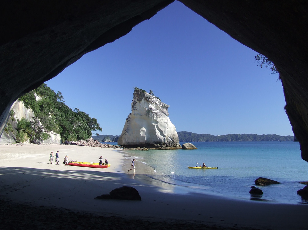 Cathedral Cove Kayak Tours景点图片