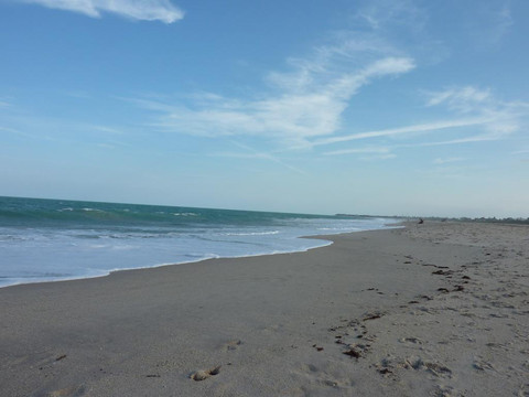 Pepper Park Beach-匹尔斯堡必去景点