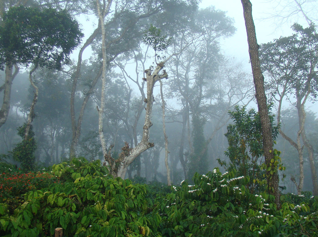 Polaycad Bungalow主图