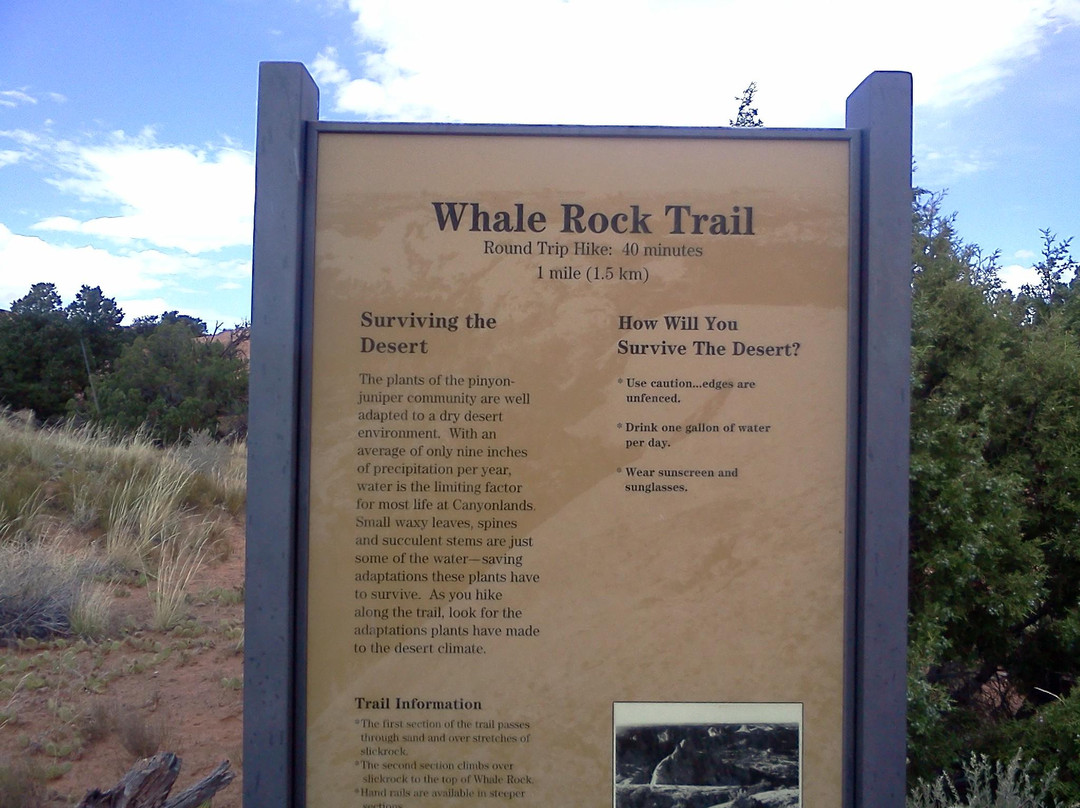 Whale Rock-峡谷地国家公园必去景点