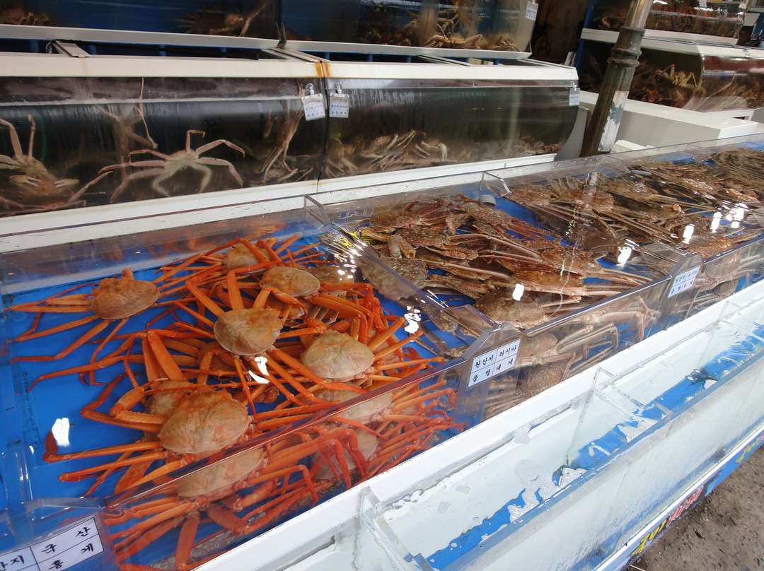 Gijang Market-釜山必去景点