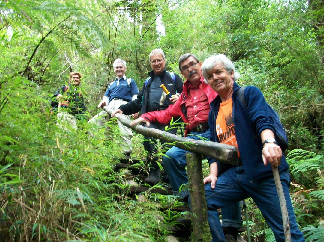 The Southern Experience-巴拉斯港必去景点