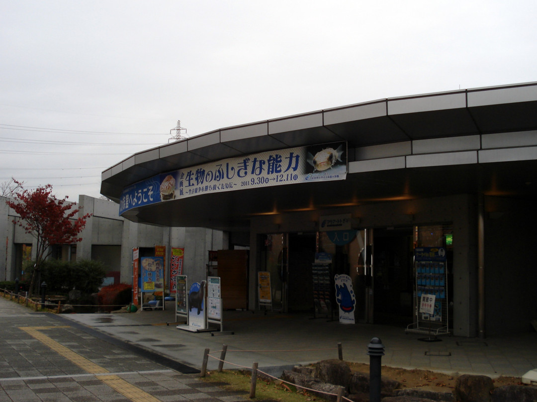 World Fresh Water Aquarium Aquatotto Gifu-各务原市必去景点