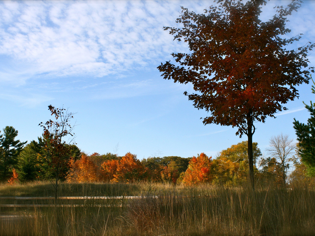 Ludington State Park-拉丁顿必去景点