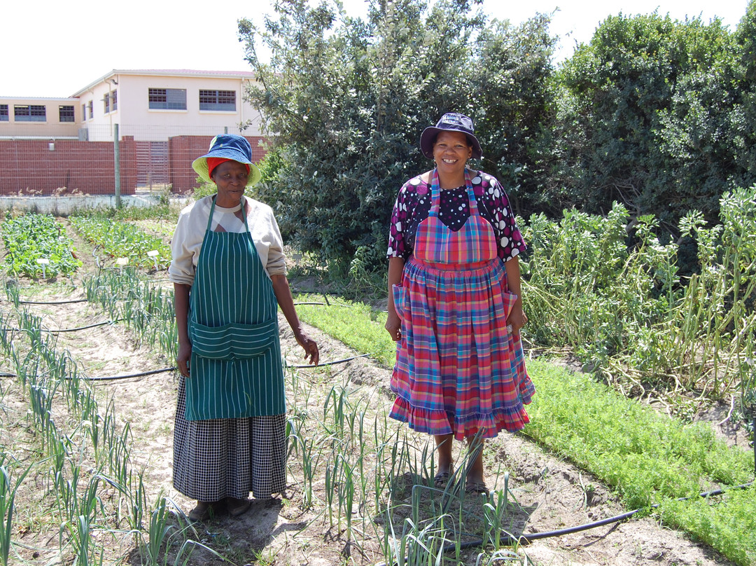 Uthando (Love) South Africa-开普敦中心区必去景点