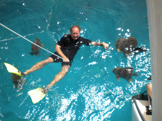 Reef Daytripper-凯恩斯必去景点