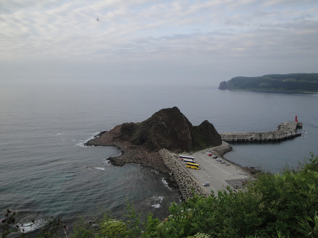Godzilla Rock景点图片
