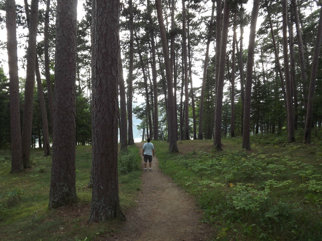 Preacher's Grove-Lake Itasca必去景点