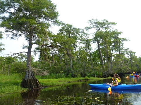 Black River Outdoors-美特尔海滩必去景点