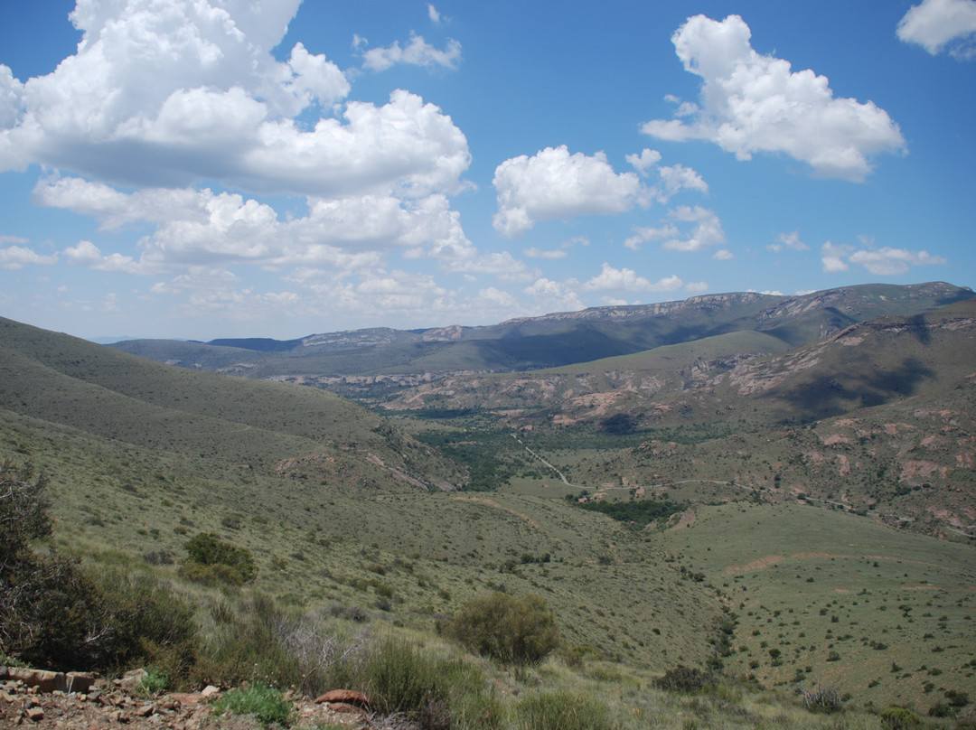 Mountain Zebra National Park景点图片
