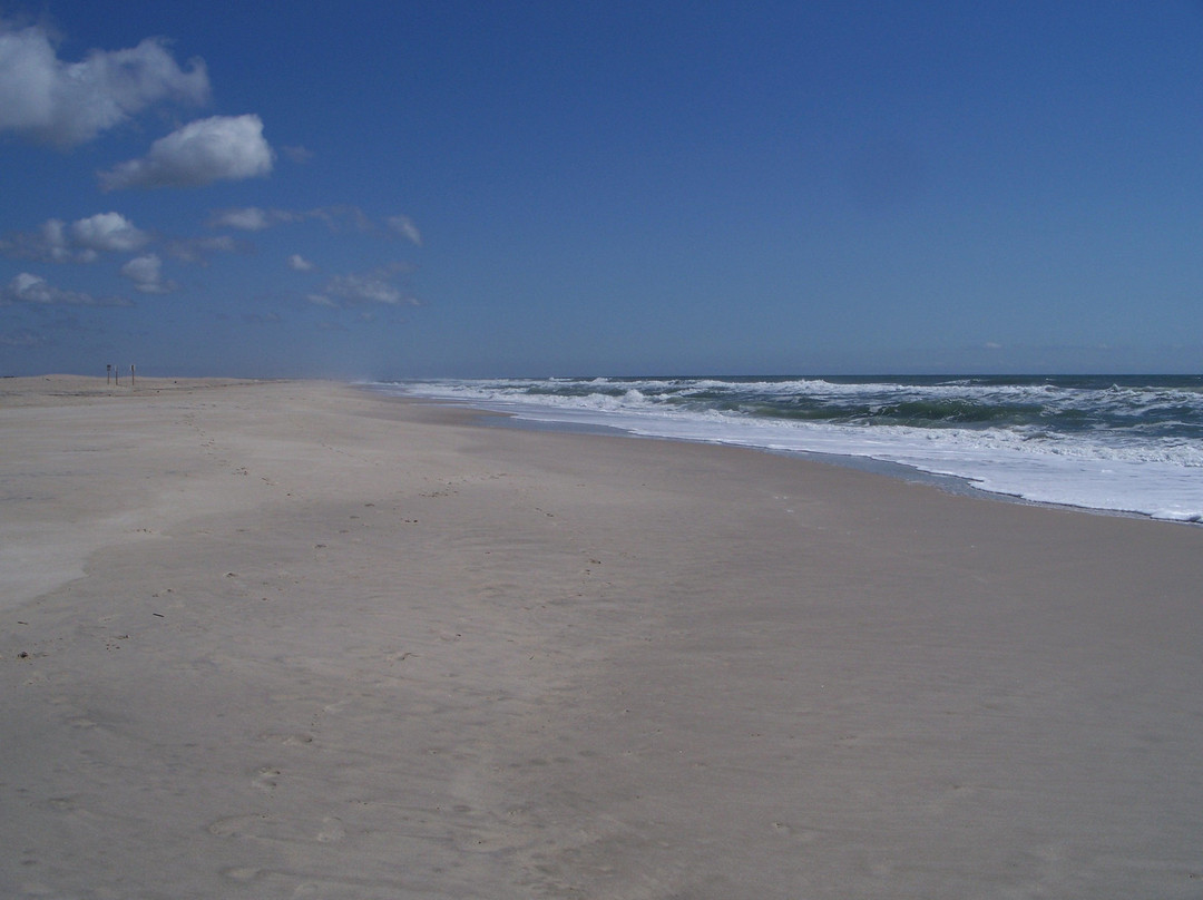 Treasure Beach RV Park and Campground主图