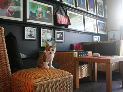 Artful Gallery-芽庄必去景点