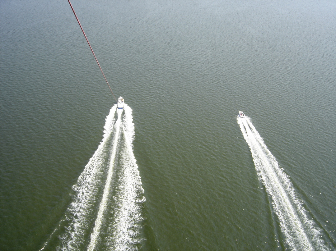 Shark's Cove Marina-Fenwick Island必去景点