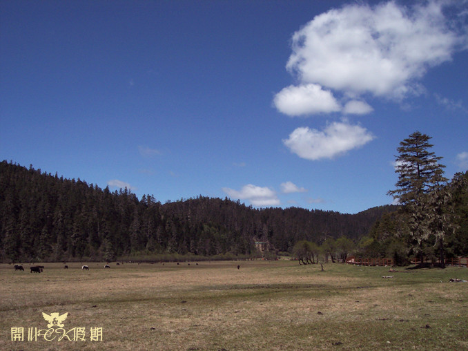 普达措国家公园景点图片