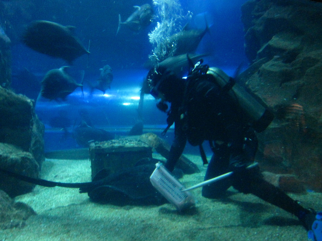 青岛海底世界-青岛市必去景点