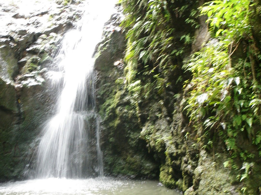 Maunawili Falls-科纳必去景点