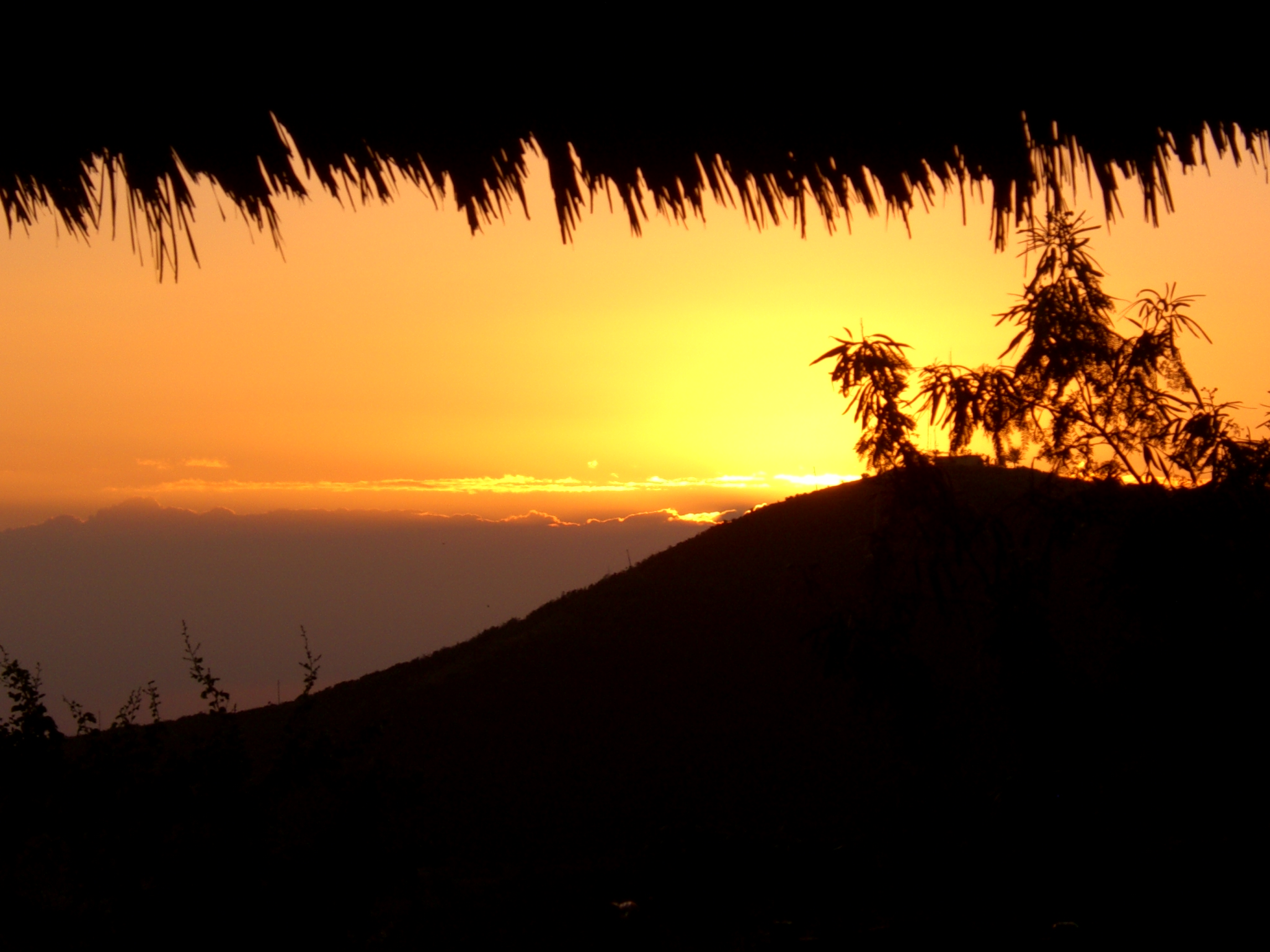 Hospedaje La Palma-酒店景观