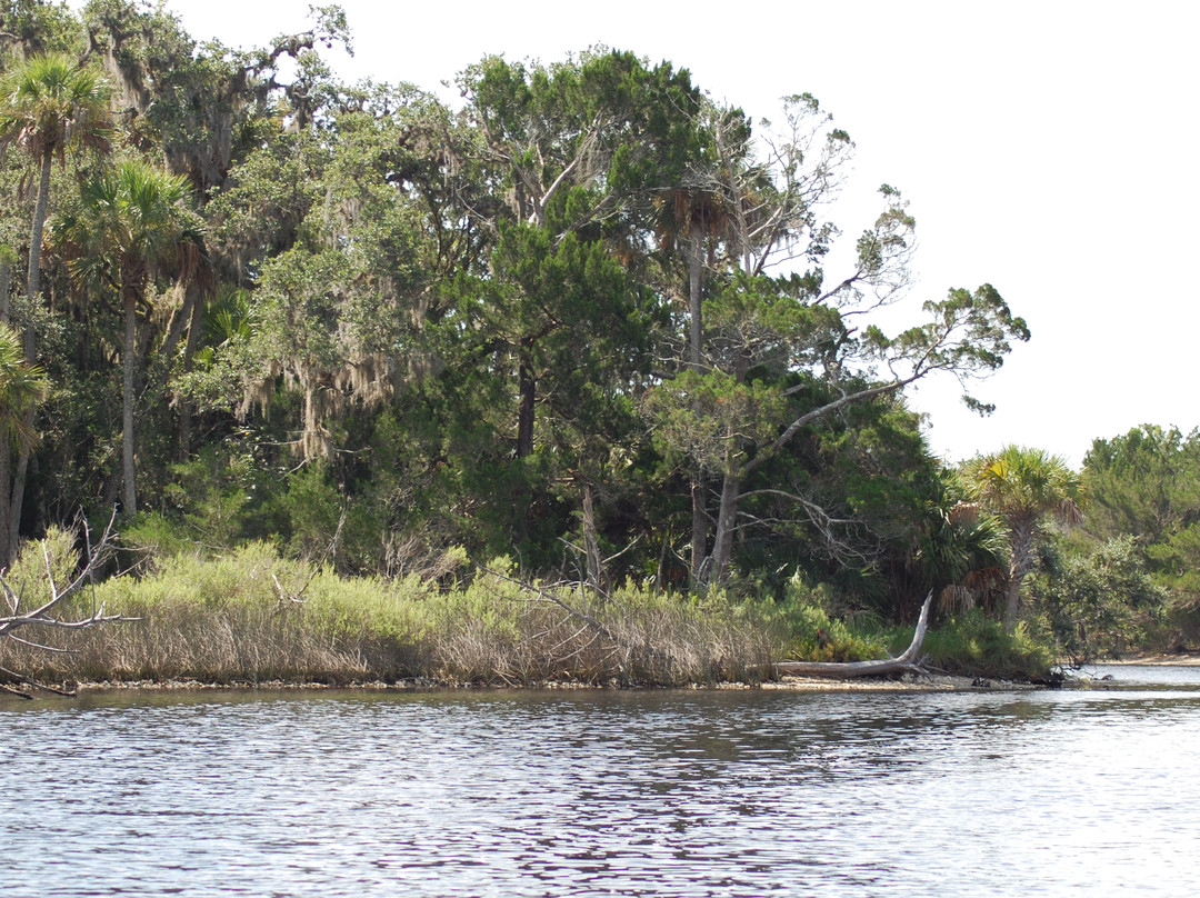 Tomoka State Park-奥蒙德海滩必去景点