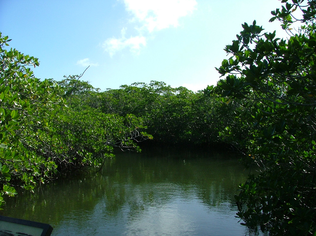MarineLab Undersea Park-拉哥岛必去景点