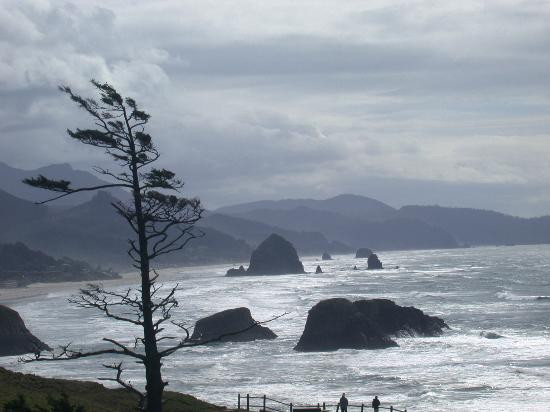 Ecola State Park-坎农比奇必去景点