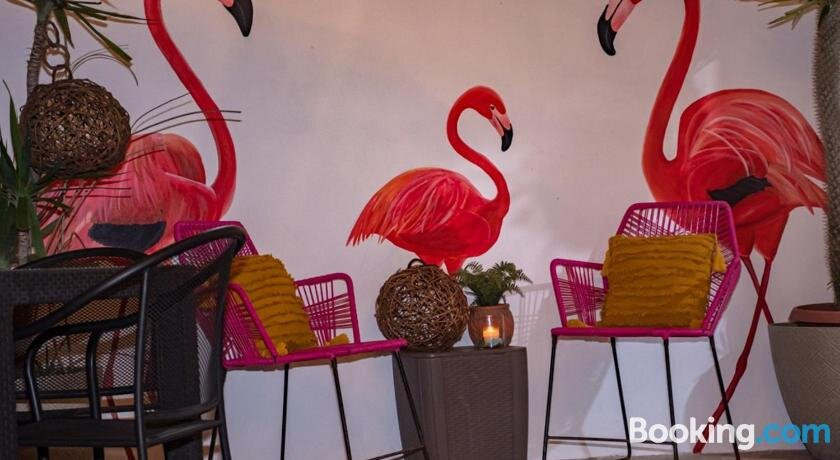 里奥拉加托斯酒店住宿-Hotel La Placita