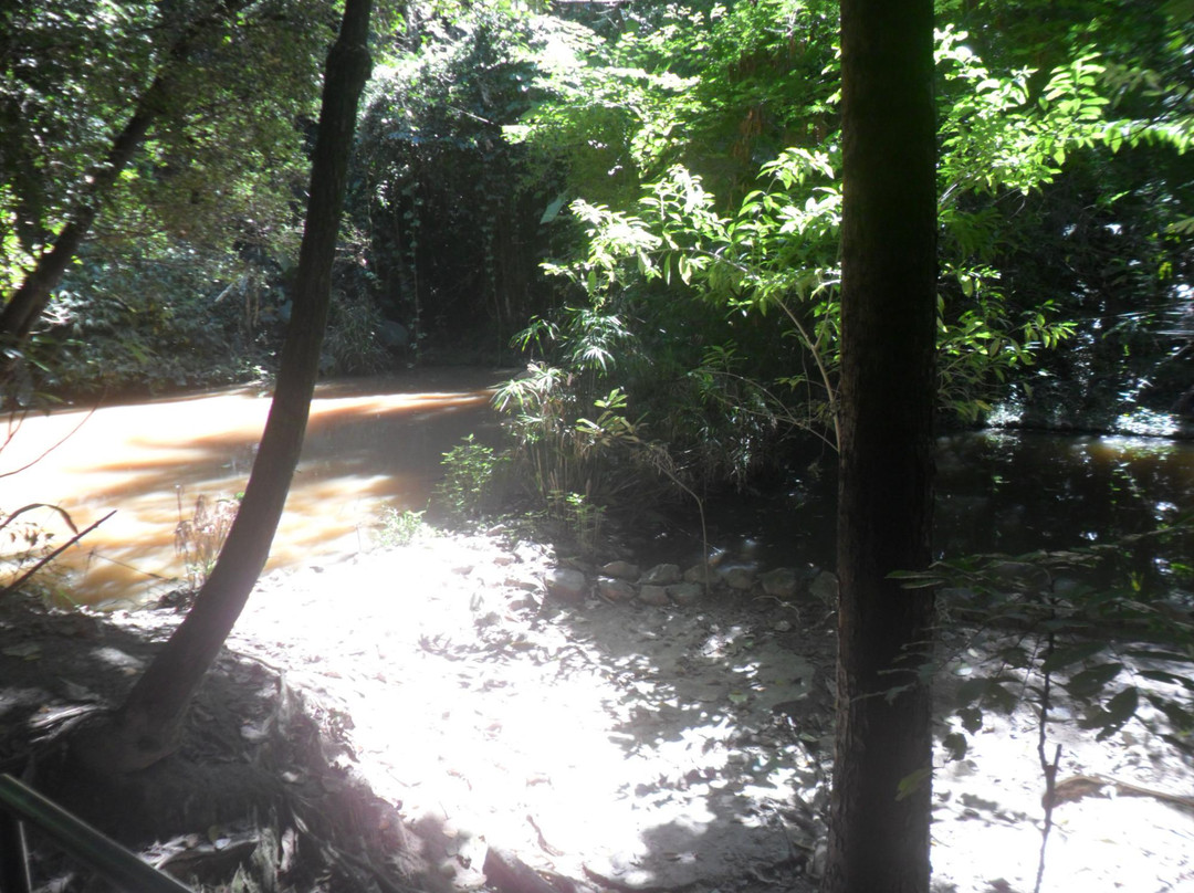 Parque Municipal Gentil Diniz-Contagem必去景点