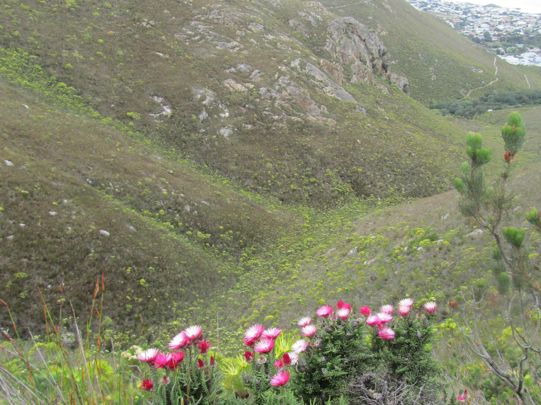 Fernkloof Nature Reserve-赫曼努斯必去景点
