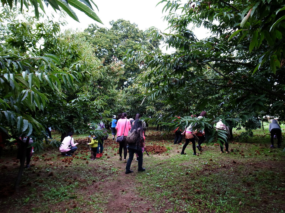 Kobayashi Farm-小布施町必去景点