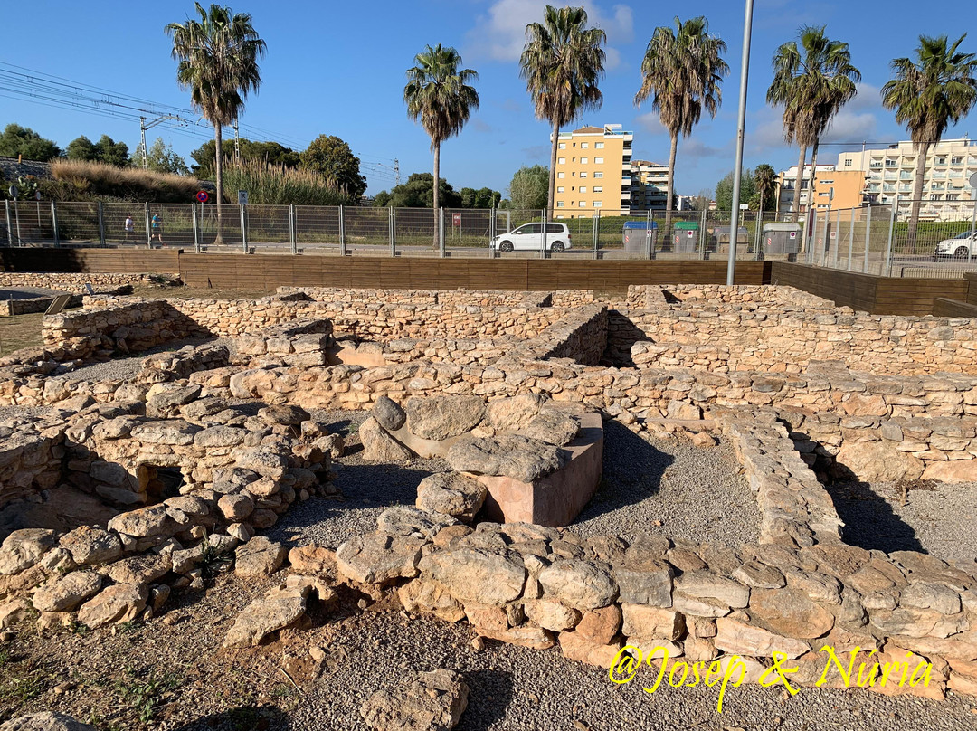 Jaciment Arqueològic D'adarró