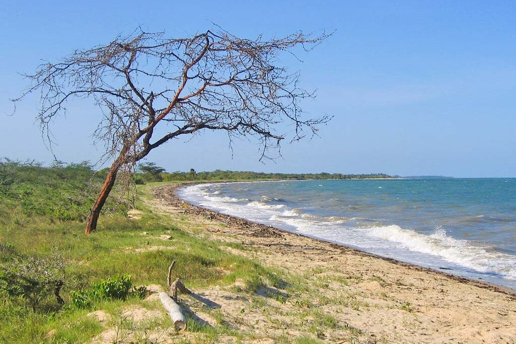 Mrena Safari Adventure & Trekking-莫西必去景点