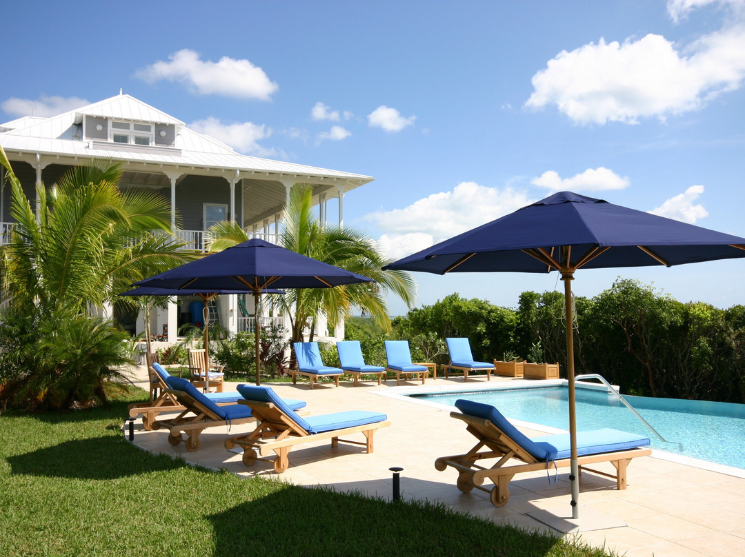 The Delphi Club主图