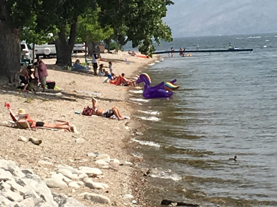 Beach Ride Rental景点图片