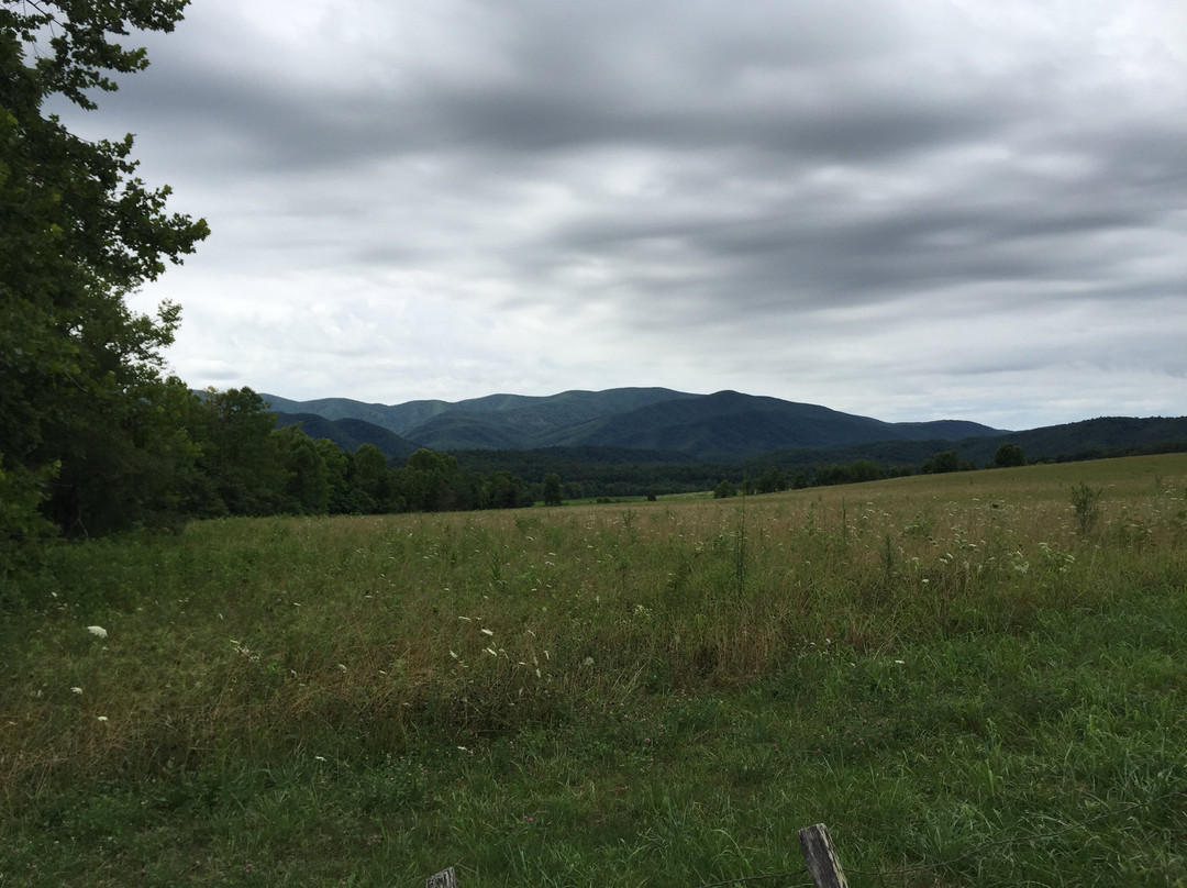 Cade's Cove Campground