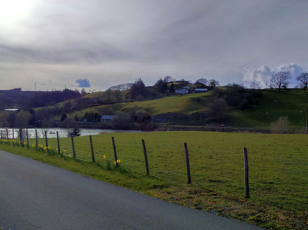 Cefn Ddwysarn酒店住宿-Erw Feurig Guest House