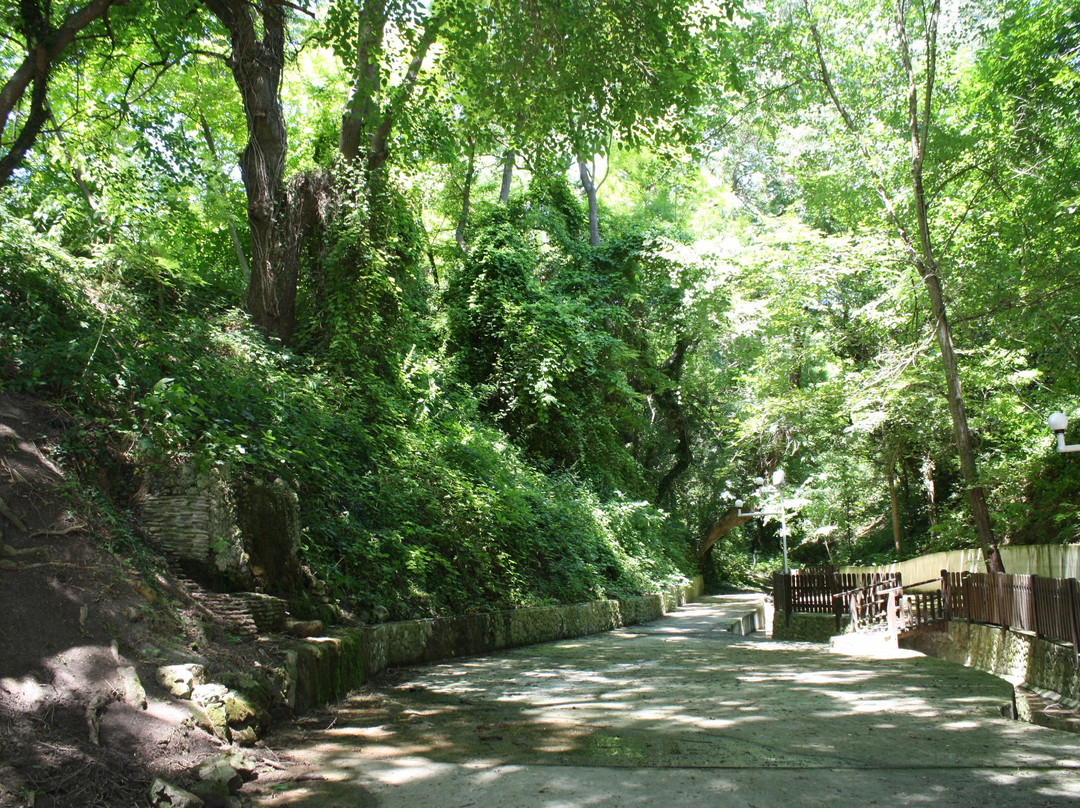 比亚拉餐馆和美食-Old Fountain