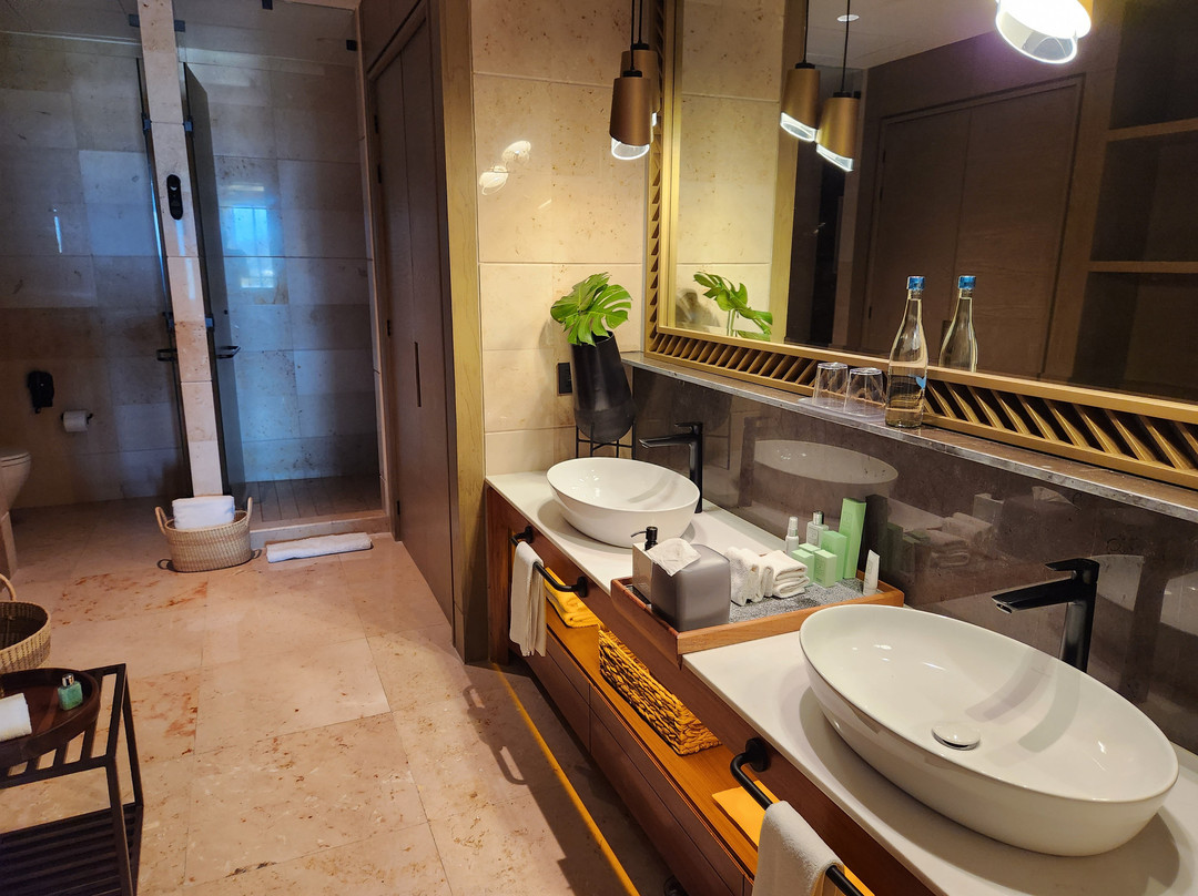 The Estates at Vidanta Nuevo Vallarta主图