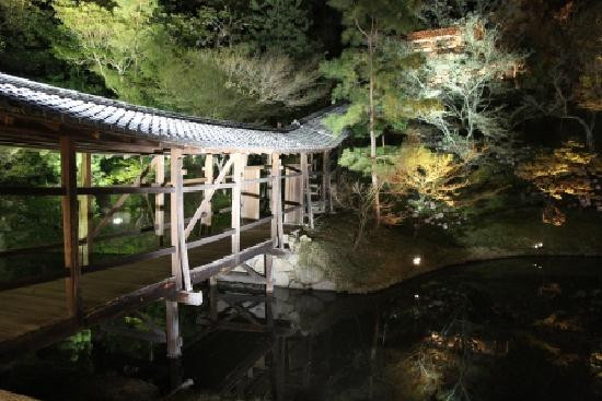 高台寺-京都市必去景点