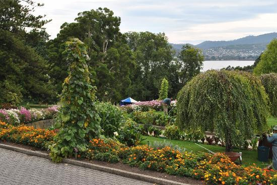 塔斯马尼亚皇家植物园-霍巴特必去景点