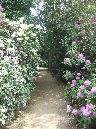 Hare Hill Park And Gardens-Over Alderley必去景点