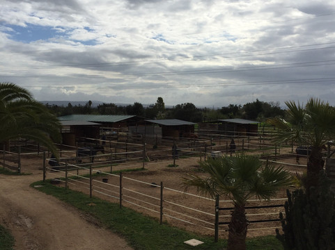 Club Hipico Es Pi-马洛卡帕尔马必去景点