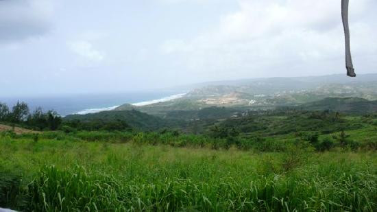 Island Safari Barbados-Saint Michael Parish必去景点