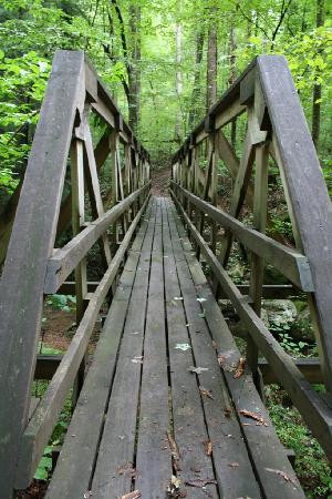 Frozen Head State Park-Wartburg必去景点