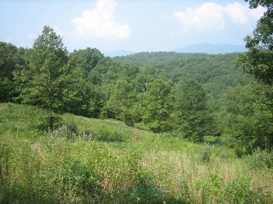 Blanche Manor Horseback Riding景点图片