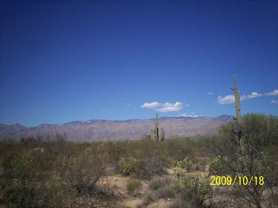 Houston's Horseback Riding-图森必去景点
