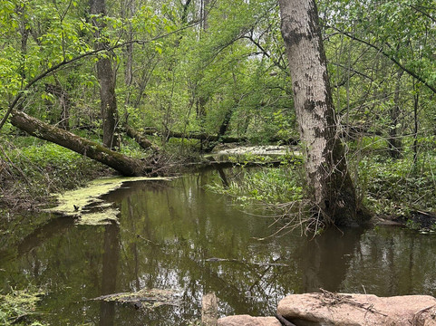 Izaak Walton Wetlands-罗切斯特必去景点