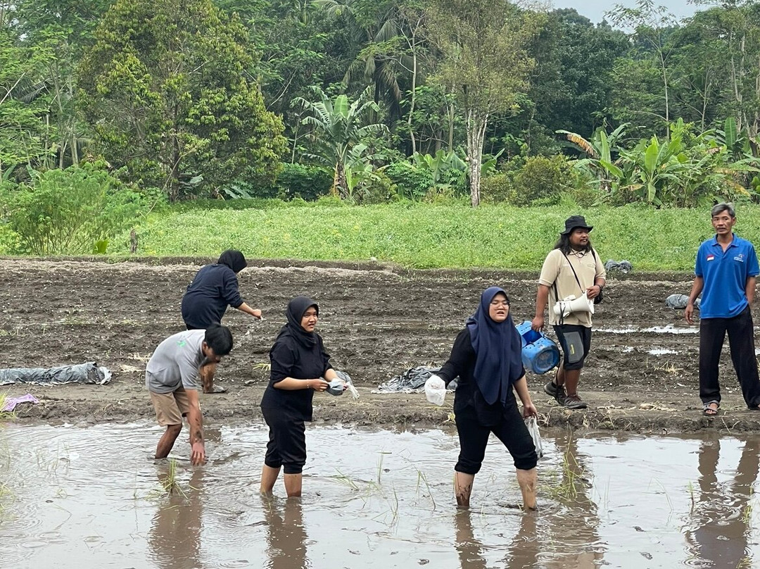 Desa Wisata Pentingsari