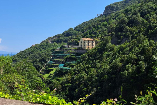 李奥纳多家庭旅馆主图